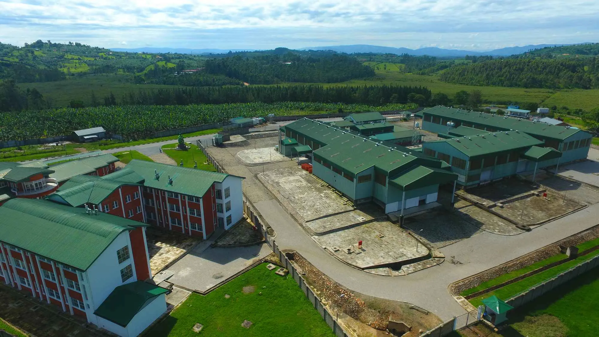 Banana processing production line equipment