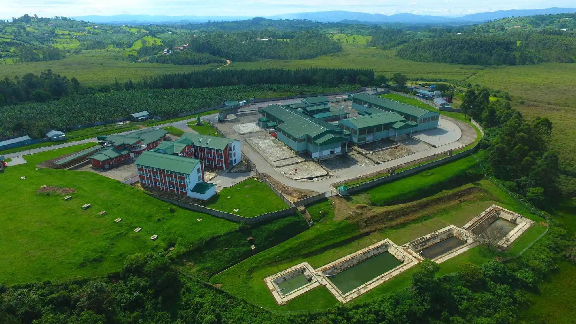 Green banana processing area for banana flour production