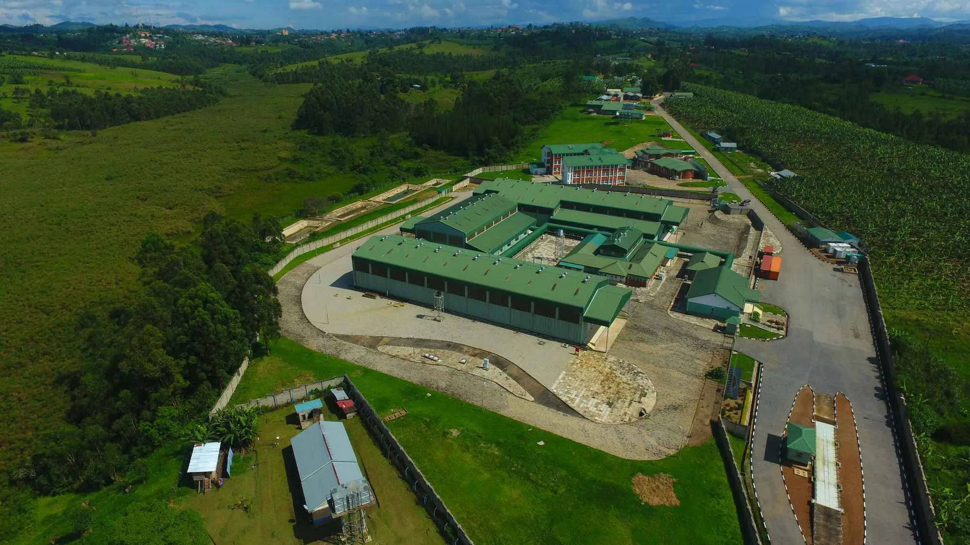 Aerial view of BIRDC's Bushenyi processing plant surrounded by lush green banana plantations